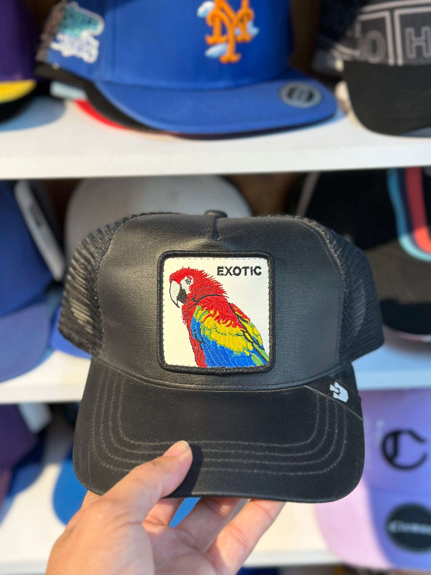 Gorra Gorin Bross exotic